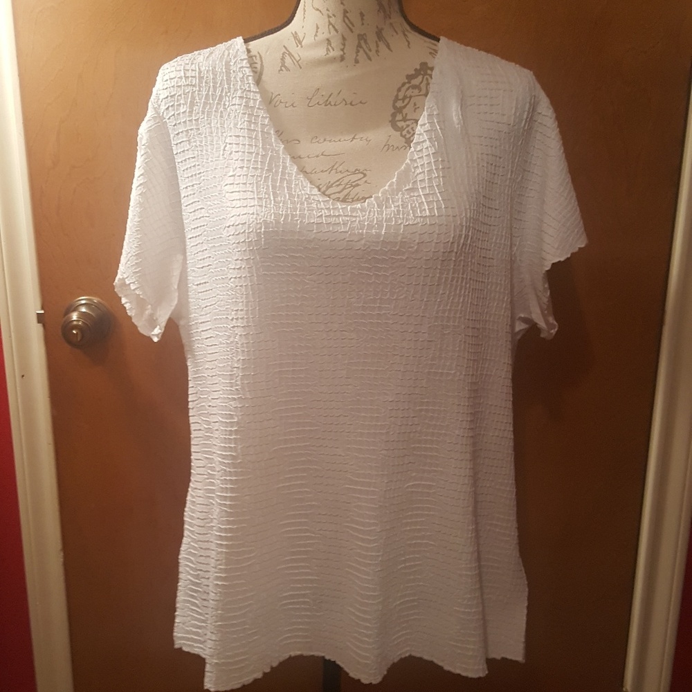 Avenue Plus size Dressy Top